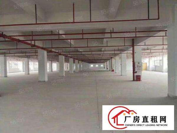  虎门红本厂房工业用地可办环评单层面积6930平可分租免押金