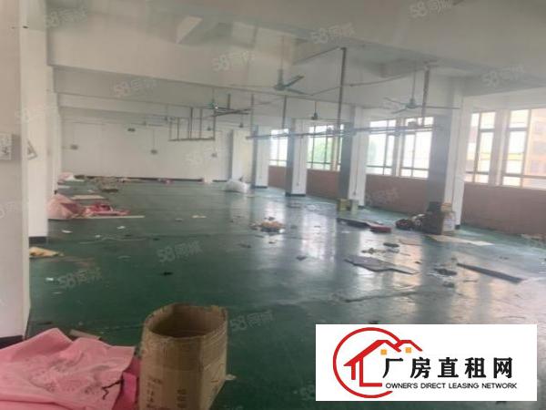  水电齐全！全新电梯！虎门高铁站新出独栋厂房每层650平