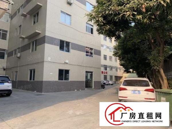  水电齐全！全新电梯！虎门高铁站新出独栋厂房每层650平