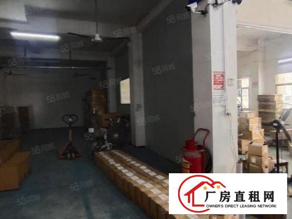  龙眼独门独院一楼600平厂房招租水电齐全带办公室装修