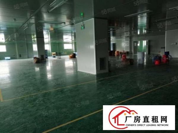  。虎门南栅本地房东厂房直租，独门独院面积7000平米，