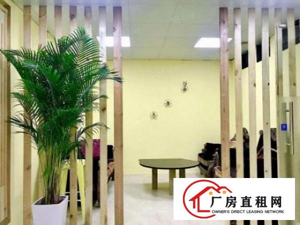  虎门镇口新出楼上精装办公室200平拧包入住物美价廉