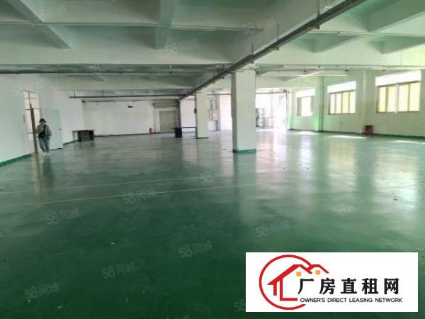 虎门大宁3楼2000平厂房现成装修地坪漆办公室！可分租！