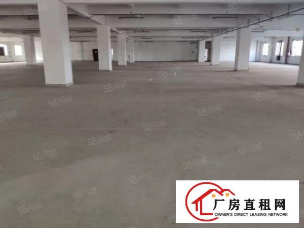  厂房形象好，周边基础设施完善，随时可看，交通方便，位置优越！