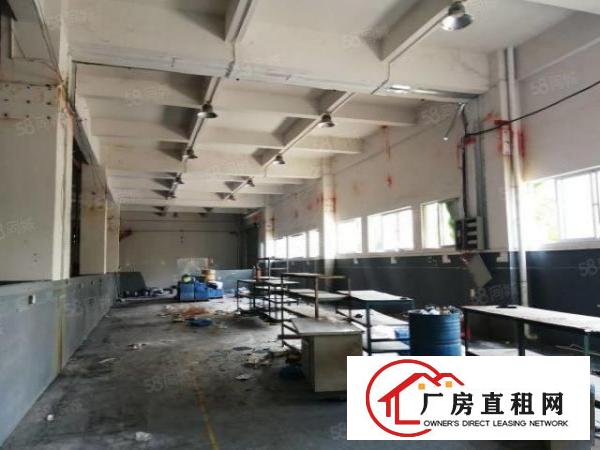  虎门临沿江高速路东新出小独院7000平12层