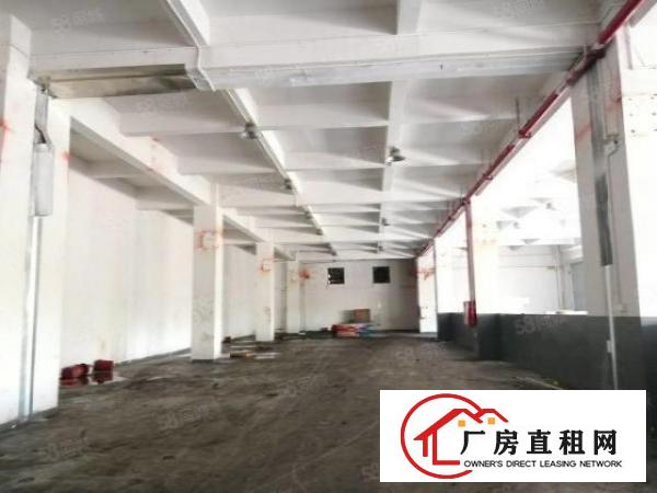  虎门临沿江高速路东新出小独院7000平12层