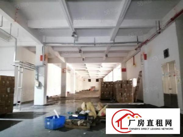  虎门临沿江高速路东新出小独院7000平12层