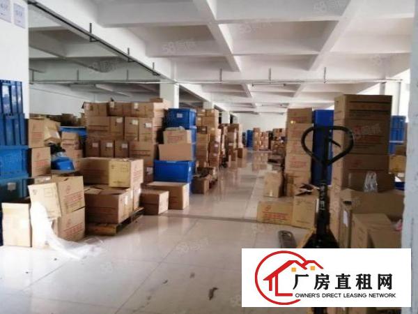  虎门临沿江高速路东新出小独院7000平12层
