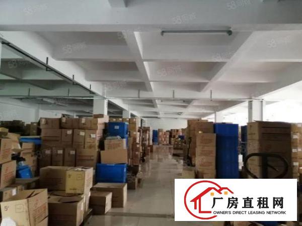  虎门临沿江高速路东新出小独院7000平12层