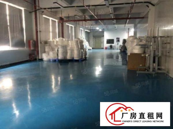  虎门威远实业客转租二楼整层5000平厂房装修豪华无转让费