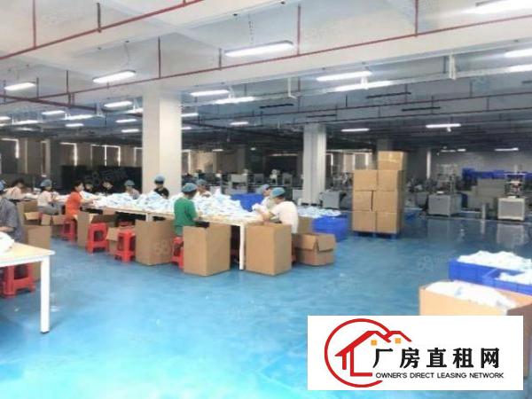  虎门威远实业客转租二楼整层5000平厂房装修豪华无转让费