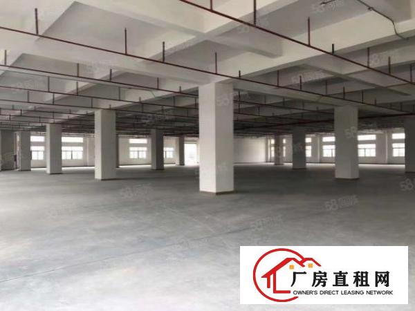  。全新厂房出租树田工业区单层3850平米，17层，可分租