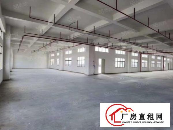  。全新厂房出租树田工业区单层3850平米，17层，可分租