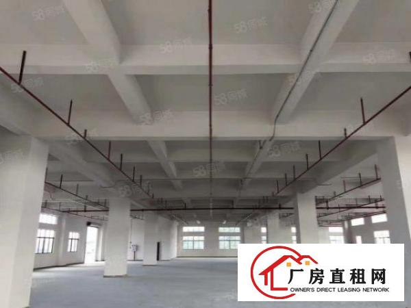  。全新厂房出租树田工业区单层3850平米，17层，可分租