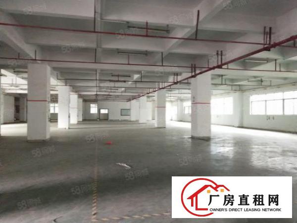  虎门新出原房东楼上2000方精装修办公室，形象好价格便宜。