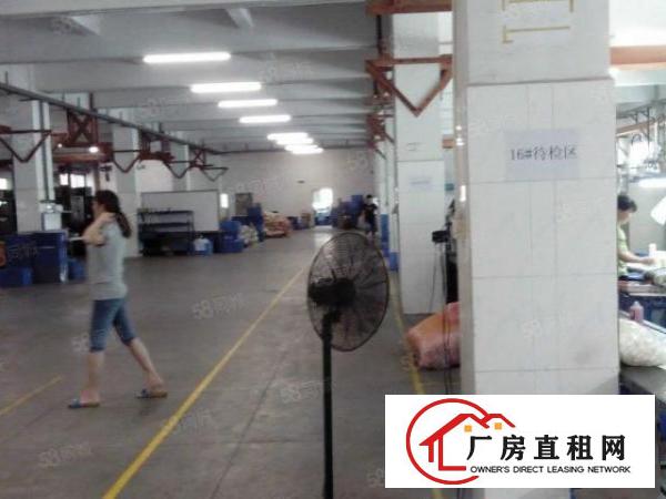  笋！白沙高铁旁！原房东2000平方豪装1楼厂房出租！可办环评
