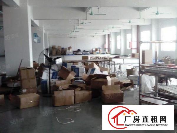  笋！白沙高铁旁！原房东2000平方豪装1楼厂房出租！可办环评