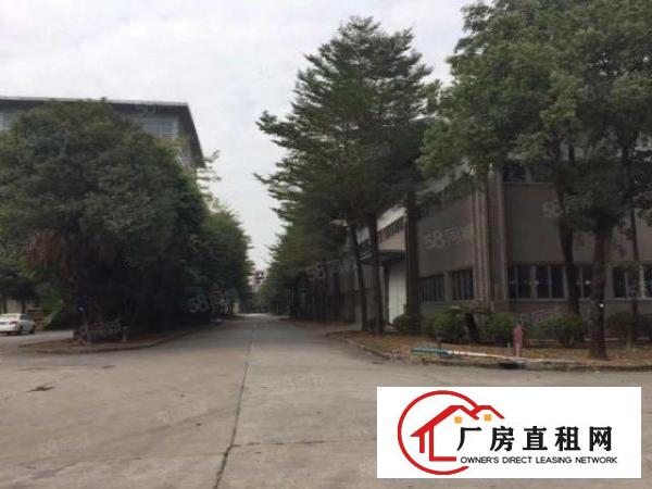 虎门北栅新出20000平物流仓库出租贸易仓库出租分租带卸平台