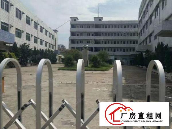  虎门新出原房东独门独院厂房出租，实际面积，可办环评，可以分租