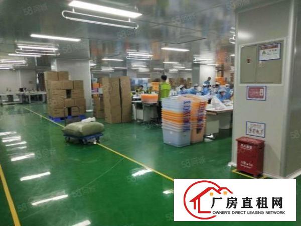  虎门新出原房东独门独院厂房出租，实际面积，可办环评，可以分租
