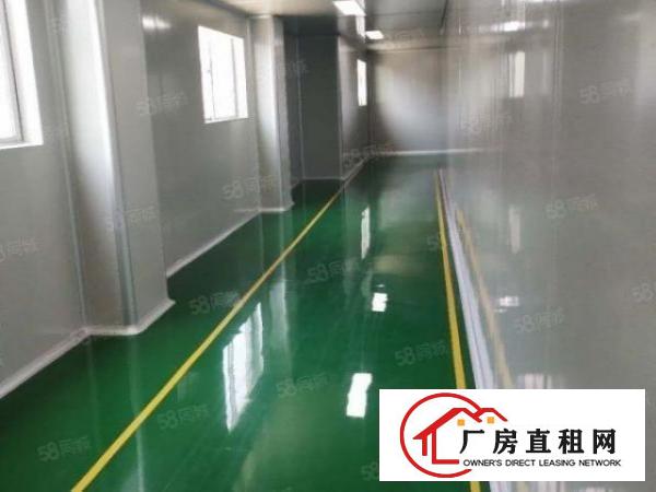 虎门新出原房东独门独院厂房出租，实际面积，可办环评，可以分租
