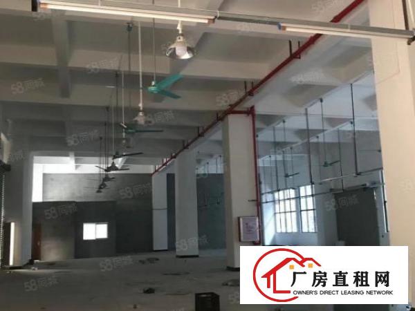  。虎门沿江高速旁原房东重厂房出租1F1080平米滴水7米高，