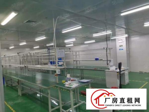  虎门镇怀德大蒲工业区新出2楼整层1750平方厂房出租，精装修