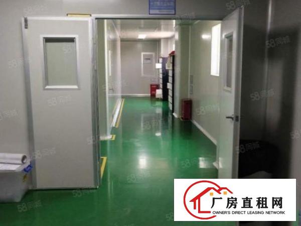  虎门成熟工业区无尘车间2100平可办环评精装修厂房出租可分租