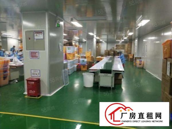  虎门成熟工业区无尘车间2100平可办环评精装修厂房出租可分租