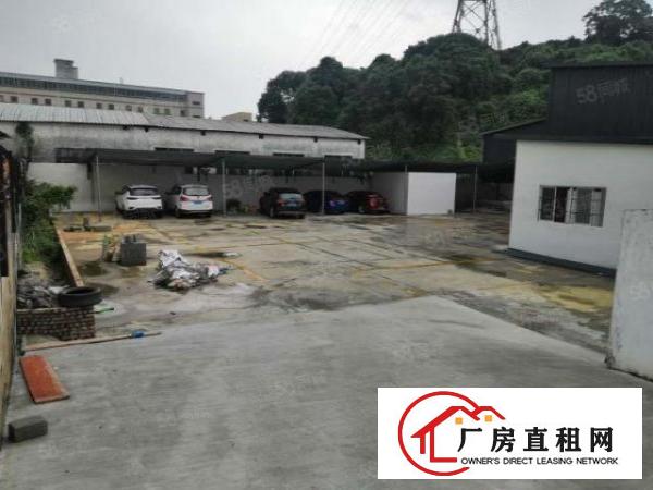  南栅全新单一层钢构1500平厂房出租独院空地大交通方便