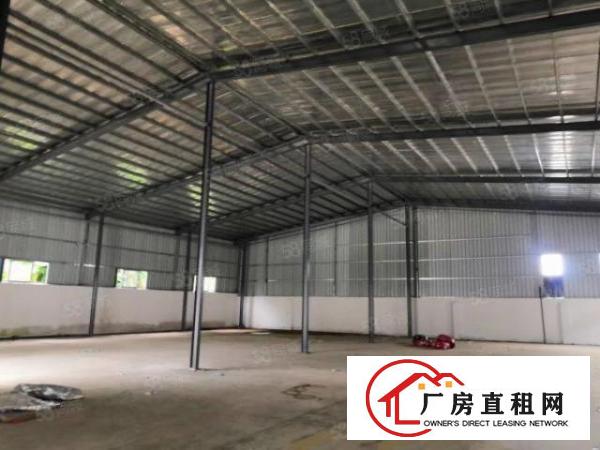  南栅全新单一层钢构1500平厂房出租独院空地大交通方便