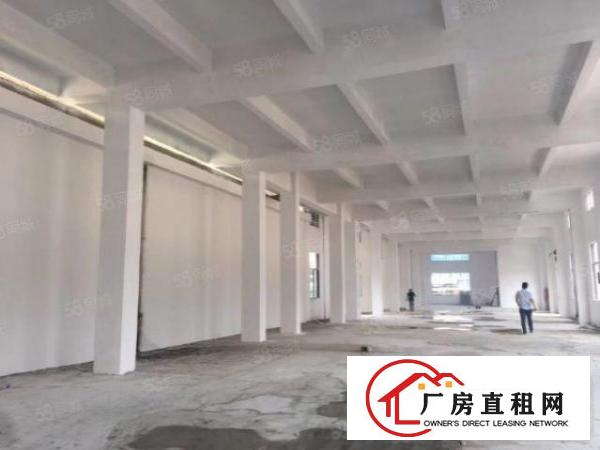  虎门南栅五区民昌路19号独院单一层厂房出租，可分租，可办环评