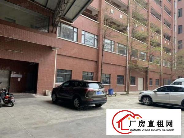  南栅社区产业园招租，原房东招租，600平方起租