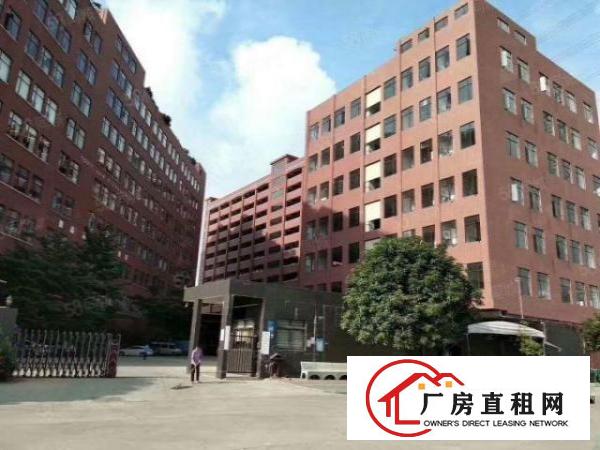  南栅社区产业园招租，原房东招租，600平方起租