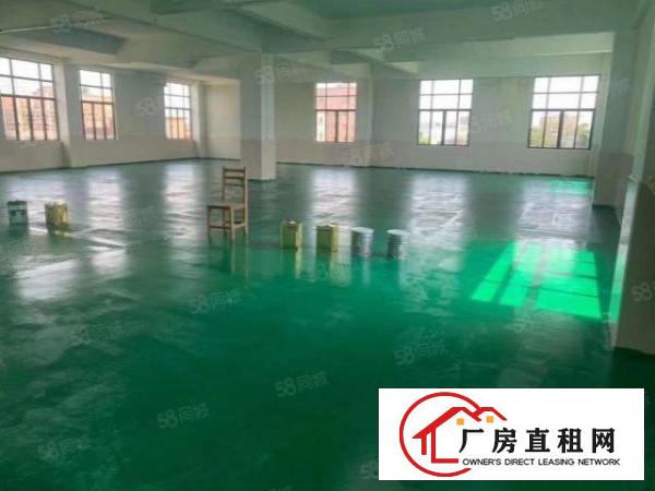  虎门南栅五区独门独院厂房出租，可办环评，实际面积，豪华装修
