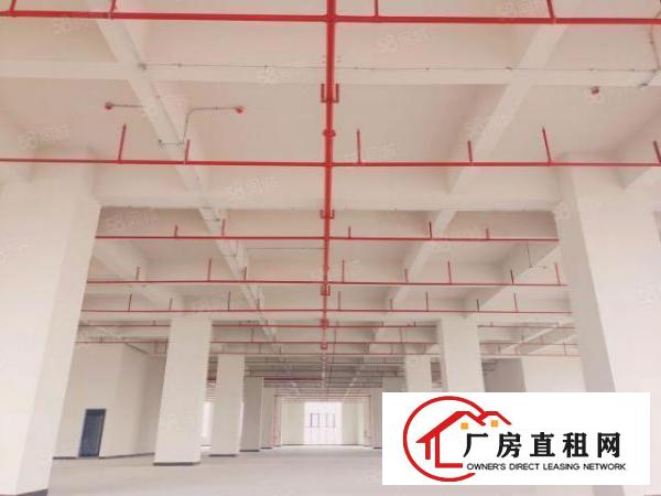  出租厚街万达附近全新高端厂房，1800平米可分租可整租！