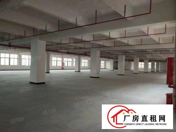 没公摊，原房东全新厂房出租，可马上搬驻