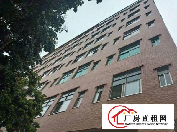  没公摊，原房东全新厂房出租，可马上搬驻