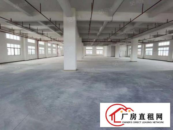  没公摊，原房东全新厂房出租，可马上搬驻