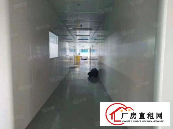  虎门怀德新出无尘车间九成新总面积1350平方单价15元平方