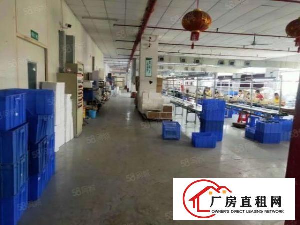 。虎门怀德无公摊电子厂房出租楼上1500平带豪华装修办公室
