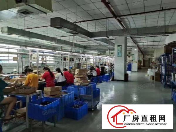  。虎门怀德无公摊电子厂房出租楼上1500平带豪华装修办公室