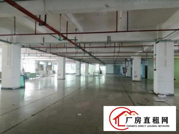  虎门临沿江高速南栅五区新出花园式厂房2800平工业用地