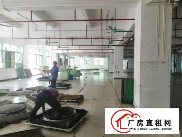  虎门临沿江高速南栅五区新出花园式厂房2800平工业用地