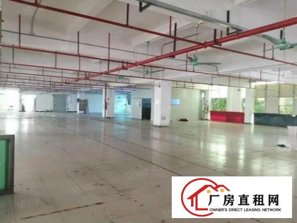  虎门临沿江高速南栅五区新出花园式厂房2800平工业用地