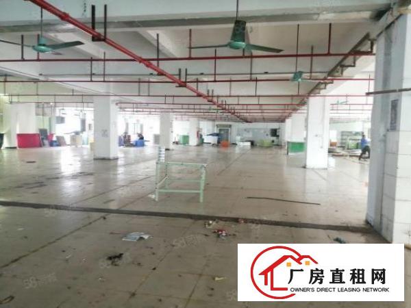  虎门临沿江高速南栅五区新出花园式厂房2800平工业用地