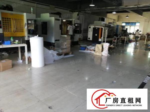  南栅五区6米高一楼1000平厂房！精装修办公室楼上100平起