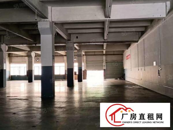  靓盘标准一楼2300带精装修空地大楼层高度6米