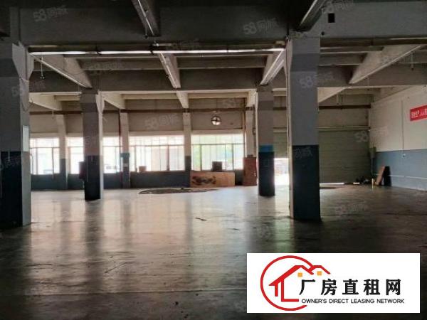  靓盘标准一楼2300带精装修空地大楼层高度6米