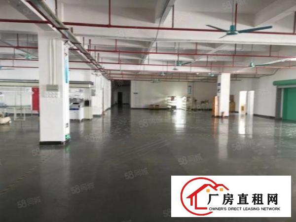  虎门南栅（独院）新出精美独院6000平方，形象可办环评！